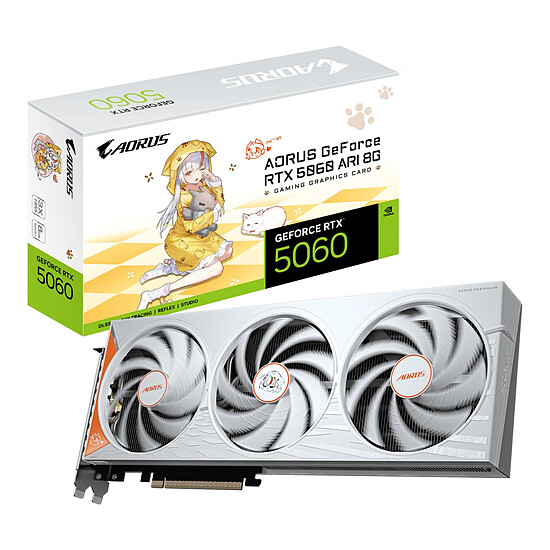 Carte graphique Gigabyte AORUS GeForce RTX 5060 ARI 8G - Autre vue
