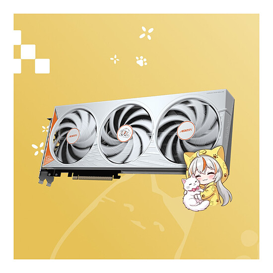 Carte graphique Gigabyte AORUS GeForce RTX 5060 ARI 8G - Autre vue