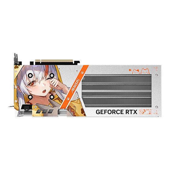 Carte graphique Gigabyte AORUS GeForce RTX 5060 ARI 8G - Autre vue