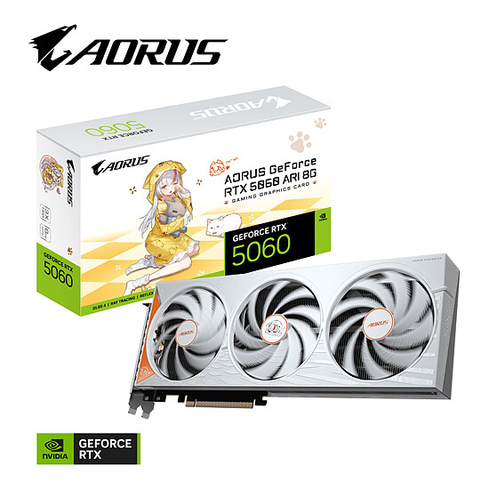 Carte graphique Gigabyte AORUS GeForce RTX 5060 ARI 8G - Autre vue
