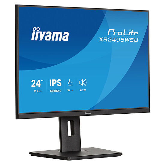 Écran PC iiyama 24" LED - ProLite XB2495WSU-B1 - Autre vue