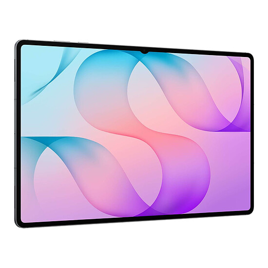 Tablette Samsung Galaxy Tab S12 Ultra 5G 256 Go Gris - Autre vue