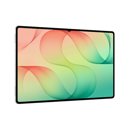 Tablette Samsung Galaxy Tab S12 Ultra Wi-Fi 256 Go Argent - Autre vue