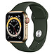 Montre connectée Apple Watch Series 6 Acier inoxydable (Or - Bracelet Sport Vert) - Cellular - 40 mm - Autre vue Montre connectée Apple Watch Series 6 Acier inoxydable (Or - Bracelet Sport Vert) - Cellular - 40 mm - Autre vue