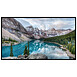 Apple 32" LED - Pro Display XDR - Verre nano-texturé - 32", IPS, 16:9, 6016 x 3384 (6K), 60 Hz, XDR, USB-C/Thunderbolt