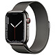 Montre connectée Apple Watch Series 7 Acier inoxydable (Graphite - Bracelet Milanais Graphite) - Cellular - 45 mm - Autre vue