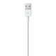 Câble USB Apple Câble Lightning vers USB - 1 m - Autre vue