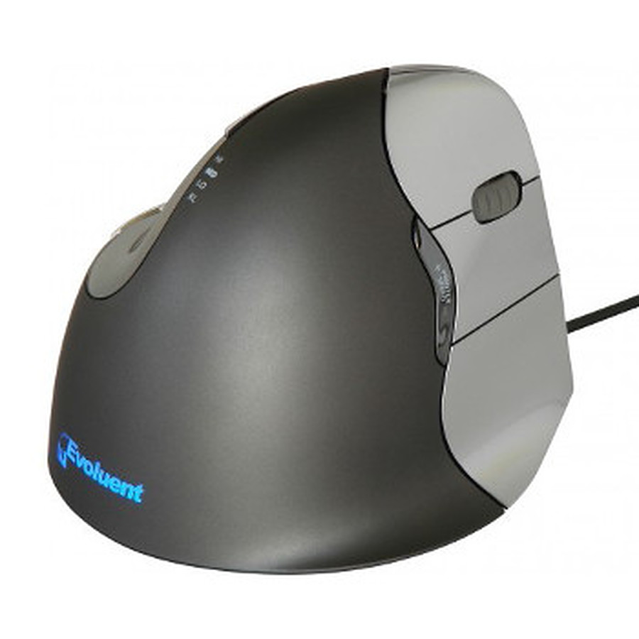 Souris PC Evoluent Vertical Mouse 4 - Droitier