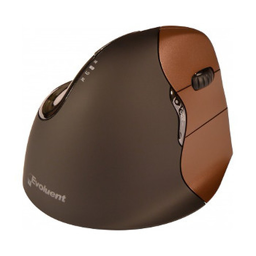 Souris PC Evoluent Wireless Vertical Mouse 4 - Petite taille