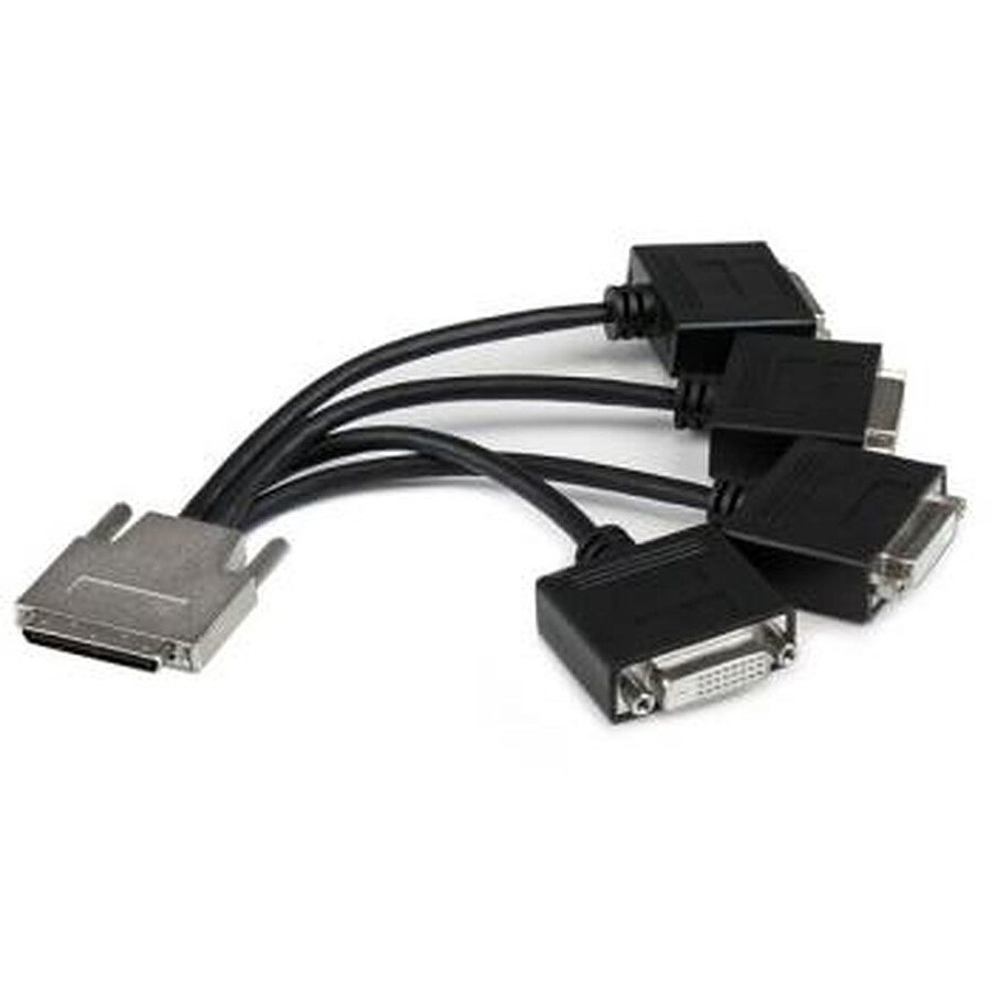 Câble DVI StarTech.com Cable Repartiteur 1 VHDCI vers 4 DVI-D - M / F