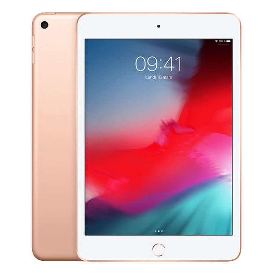 Tablette reconditionnée Apple iPad Mini 2019 (or) - WiFi - 256 Go - 3 Go · Reconditionné