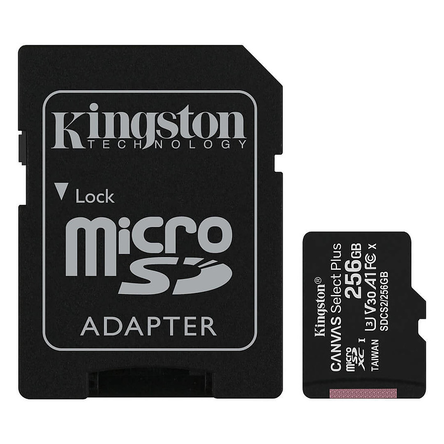 Carte mémoire Kingston Canvas Select Plus SDCS2/256GB
