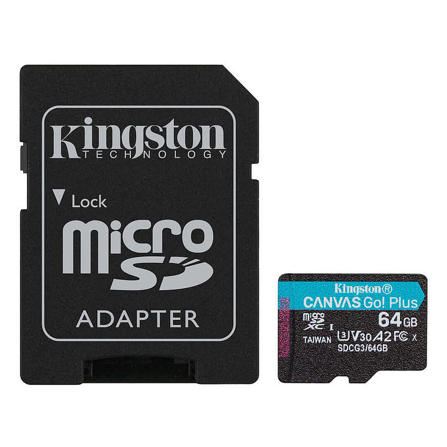 Carte mémoire Kingston Canvas Go! Plus SDCG3/64GB