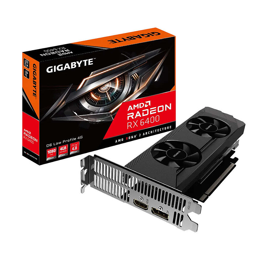 Carte graphique Gigabyte Radeon RX 6400 D6 Low Profile