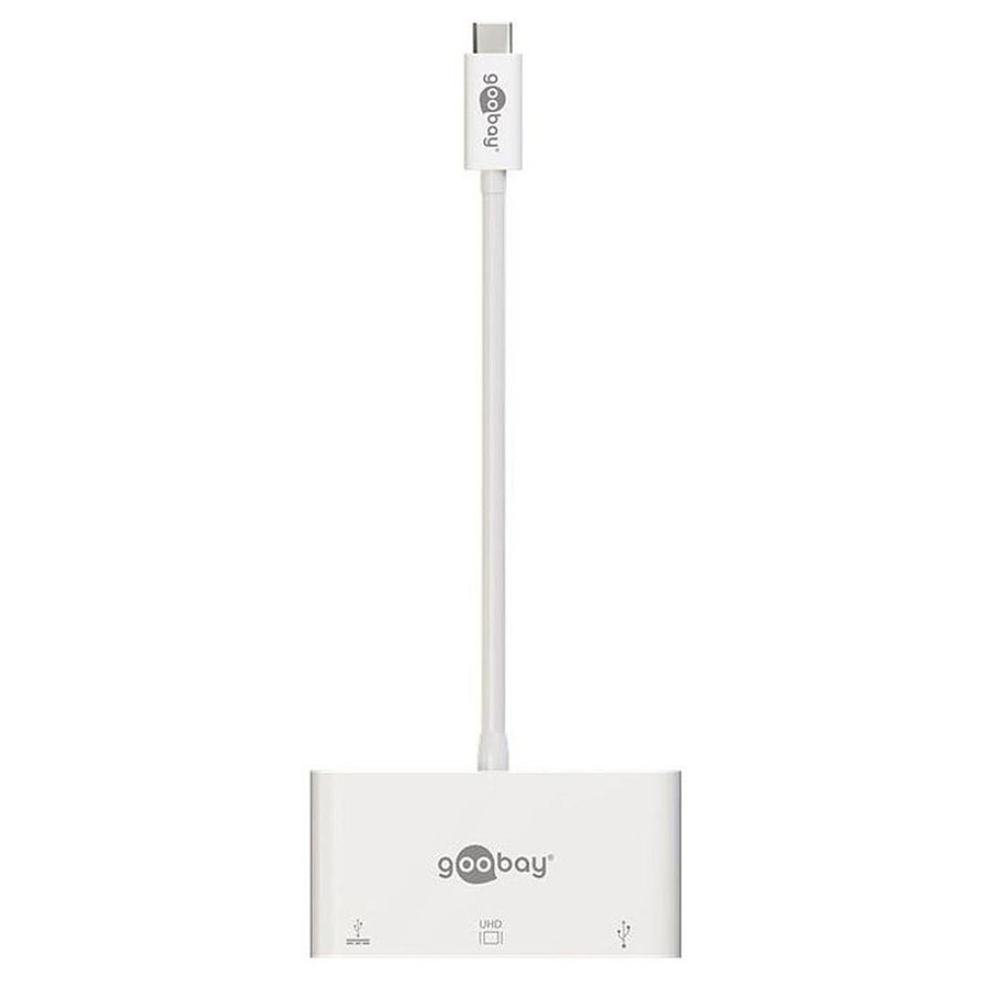 Câble USB Goobay Adaptateur Multiport USB-C vers VGA (M/F)