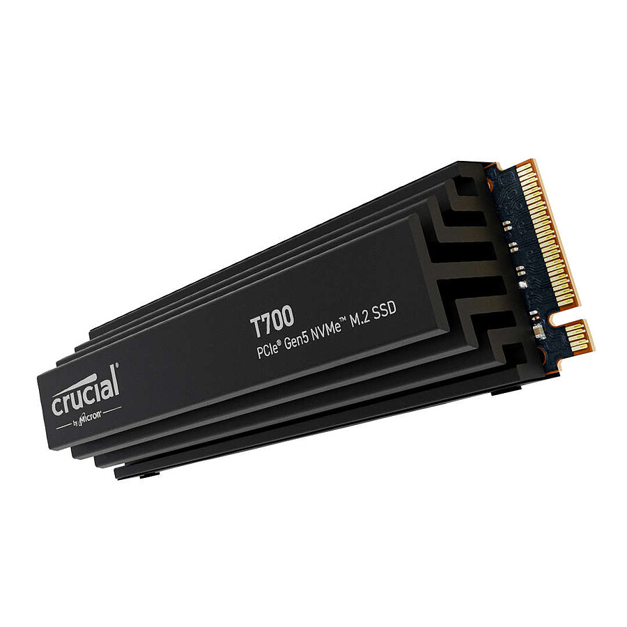 SSD NVMe Crucial T1 Gen500 de 4 To avec dissipateur de tête pour