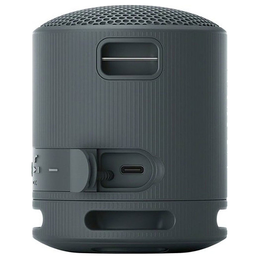 Enceinte portable srs-xb100 gris perle Sony