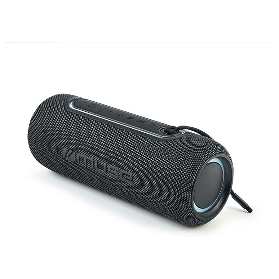 Cabasse Swell Noir - Enceinte Portable Bluetooth : : High-Tech