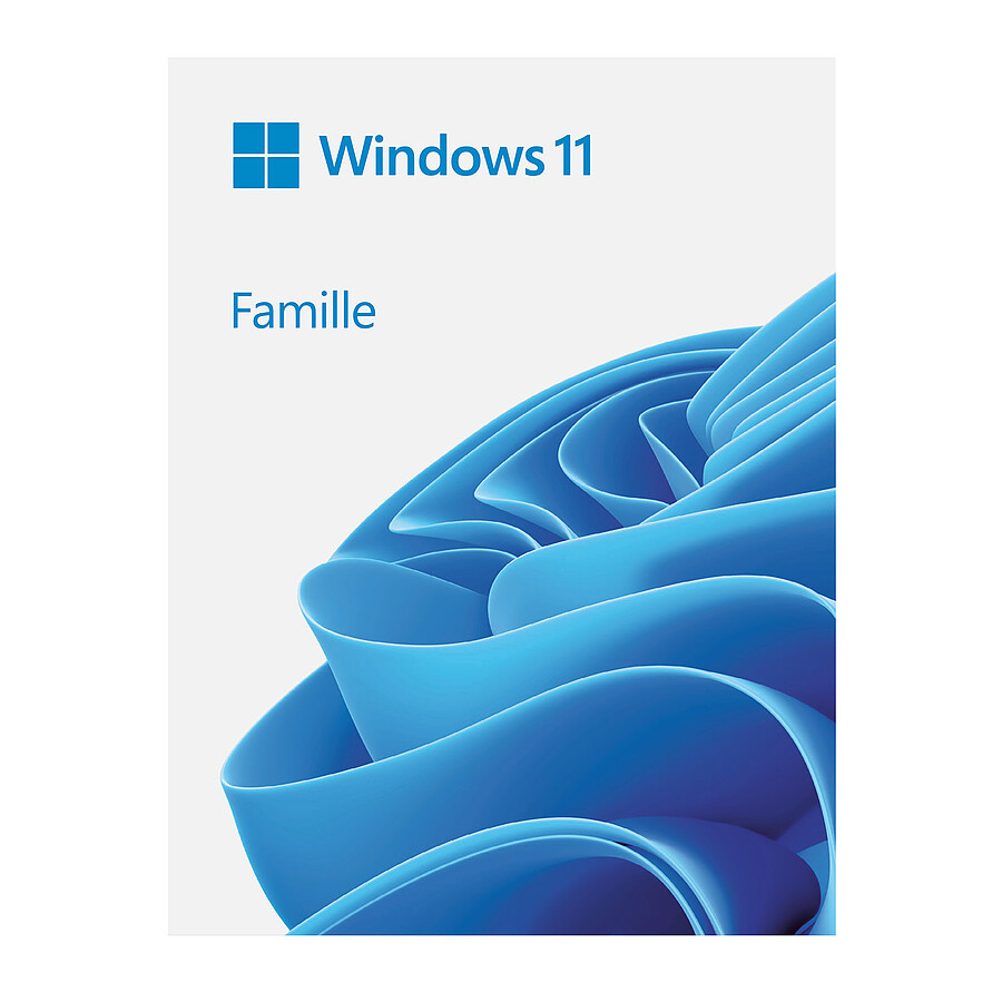 Windows Microsoft Windows 11 Home 64 bits (clé USB)