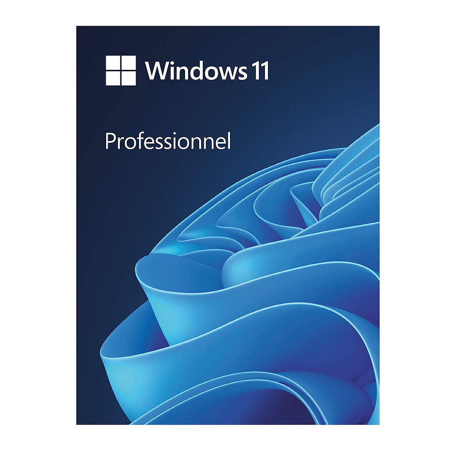 Windows Microsoft Windows 11 Professionnel 64 bits (clé USB)