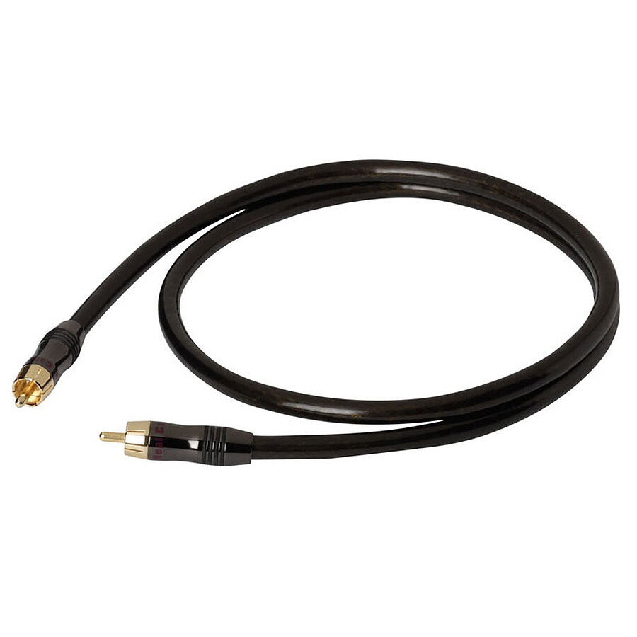 Câble RCA Real Cable EAN-2  1 m