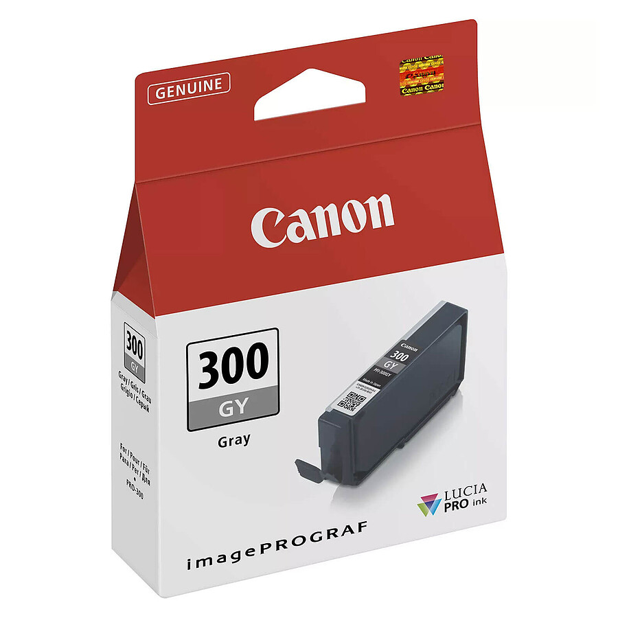 Cartouche d'encre Canon PFI-300 - Gris