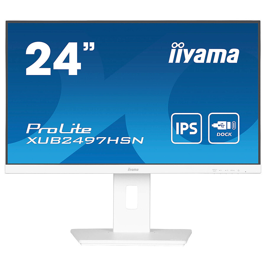 Écran PC Iiyama ProLite XUB2497HSN-W1