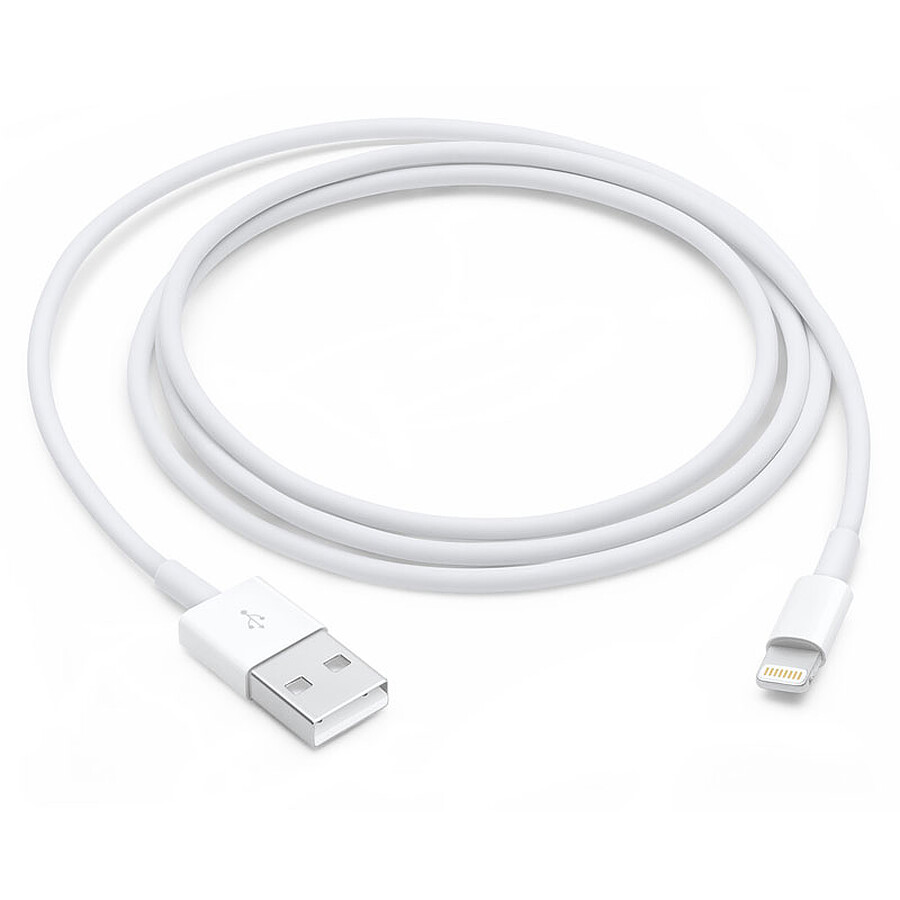 Adaptateurs et câbles Apple Câble Lightning vers USB - 1 m (2024)