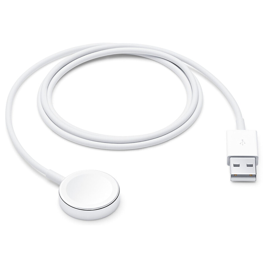 Adaptateurs et câbles Apple Câble de charge rapide magnétique vers USB-A pour Apple Watch (1 m) 
