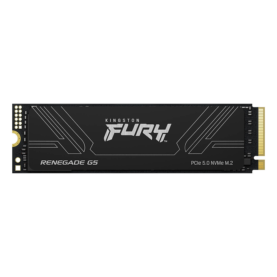 Disque SSD Kingston FURY Renegade G5 - 1 To