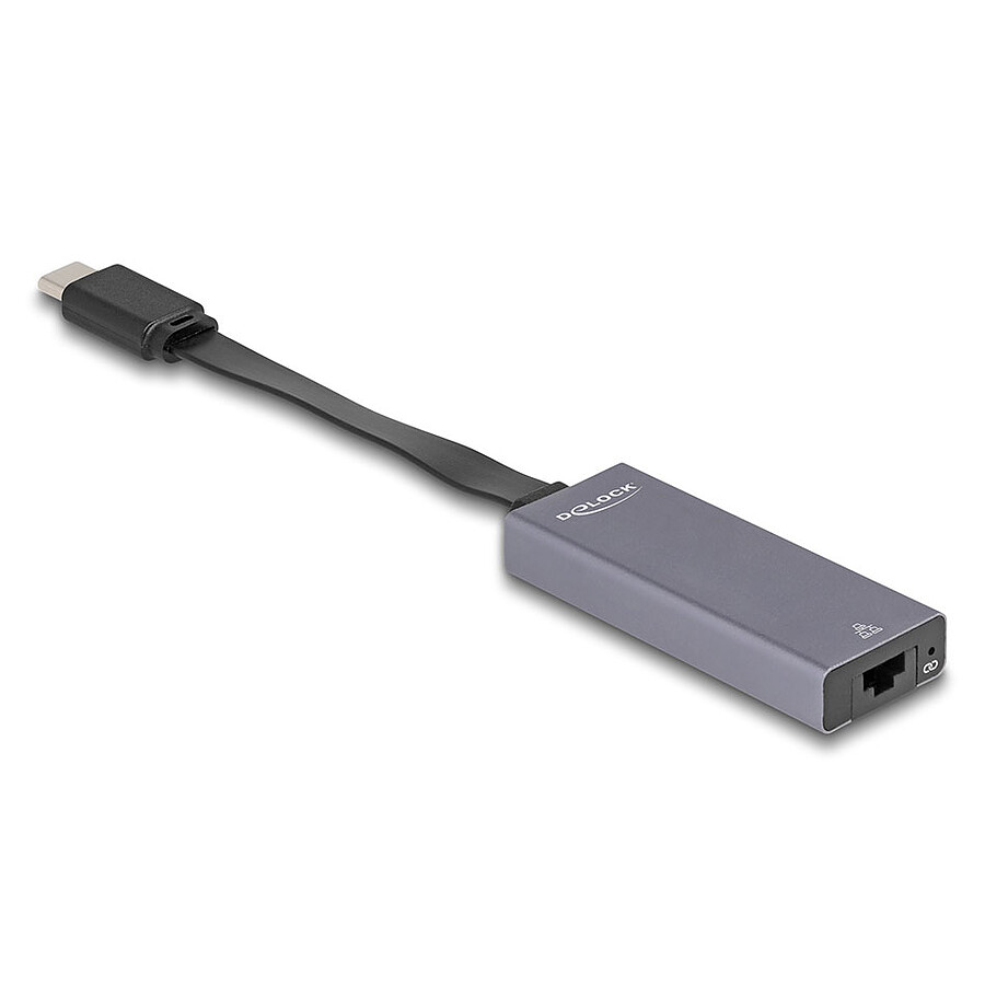 Câble USB DeLock Adaptateur USB Type-C vers RJ-45 2.5 Gbps